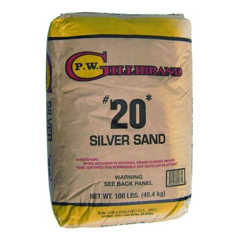 20 silica sand home depot